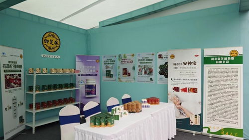 御芝林药业亮相第三届扁鹊文化节，多款核心产品与文化创新备受瞩目